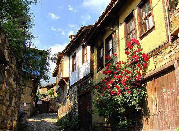 1 Mayıs Gölyazı Bursa Turu 1 GECE konaklama ve ulaşım dahil-4