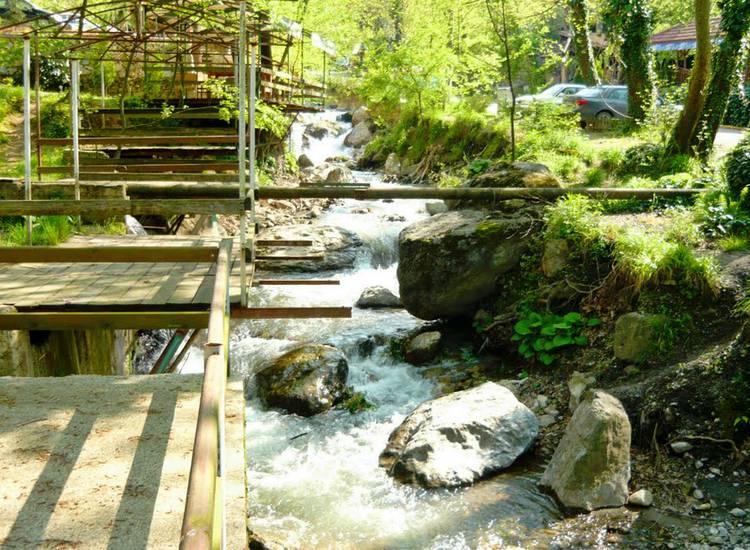 Günübirlik Maşukiye At Çiftliği & Sapanca Doğa Turu-2